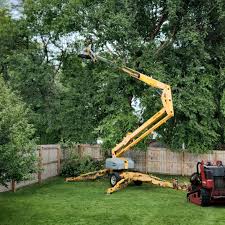  , DE Tree Services Pros