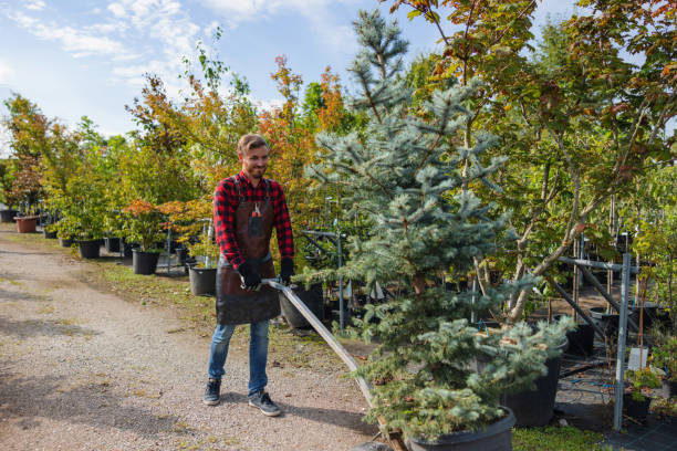 Best Seasonal Cleanup (Spring/Fall)  in , DE